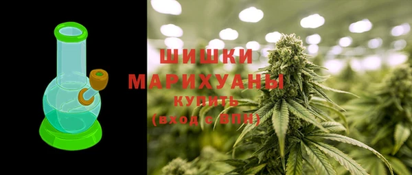 крисы Щигры