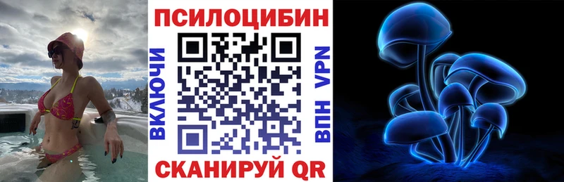 Псилоцибиновые грибы Cubensis  Королёв 